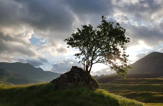 genealogy research in Scotland